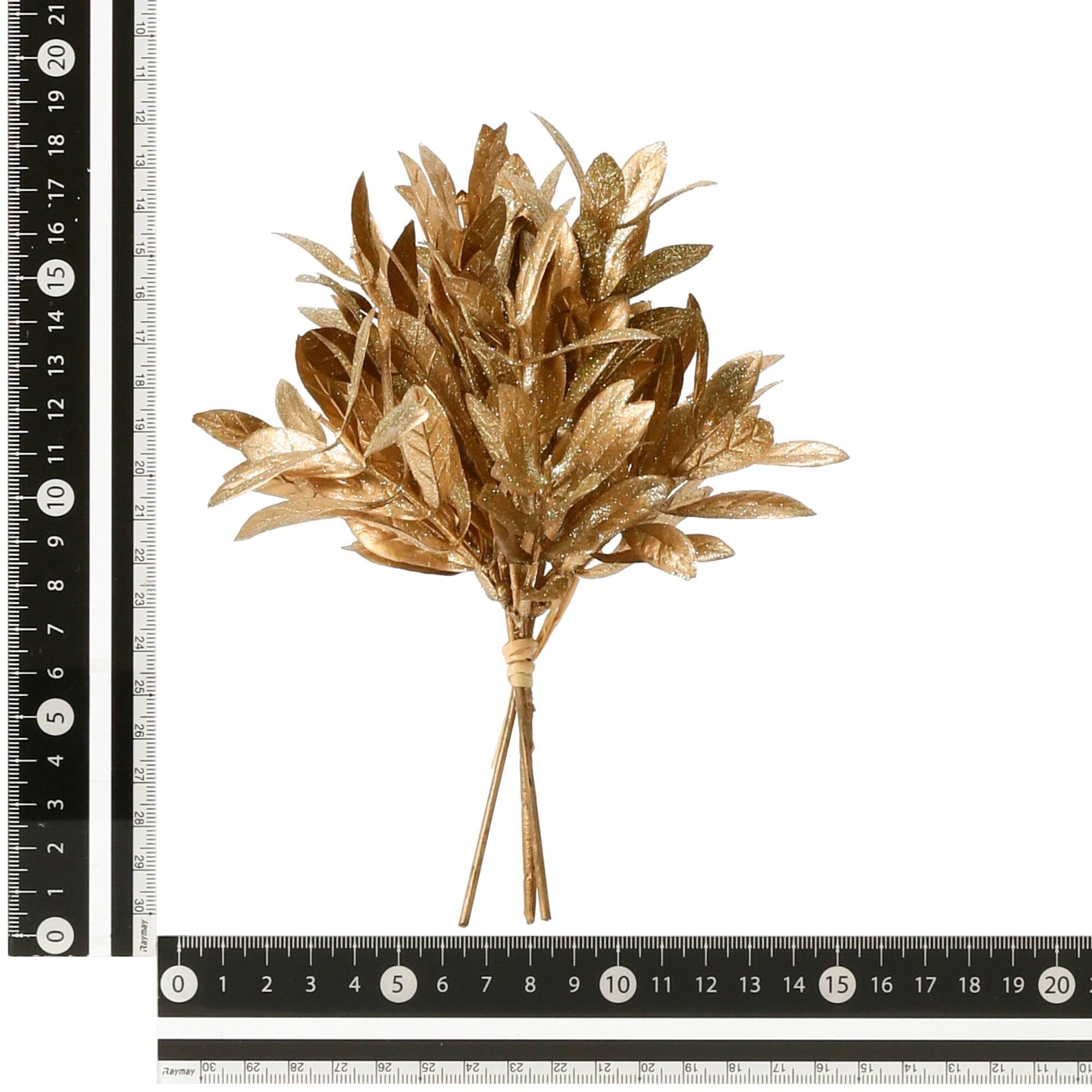 Zoom