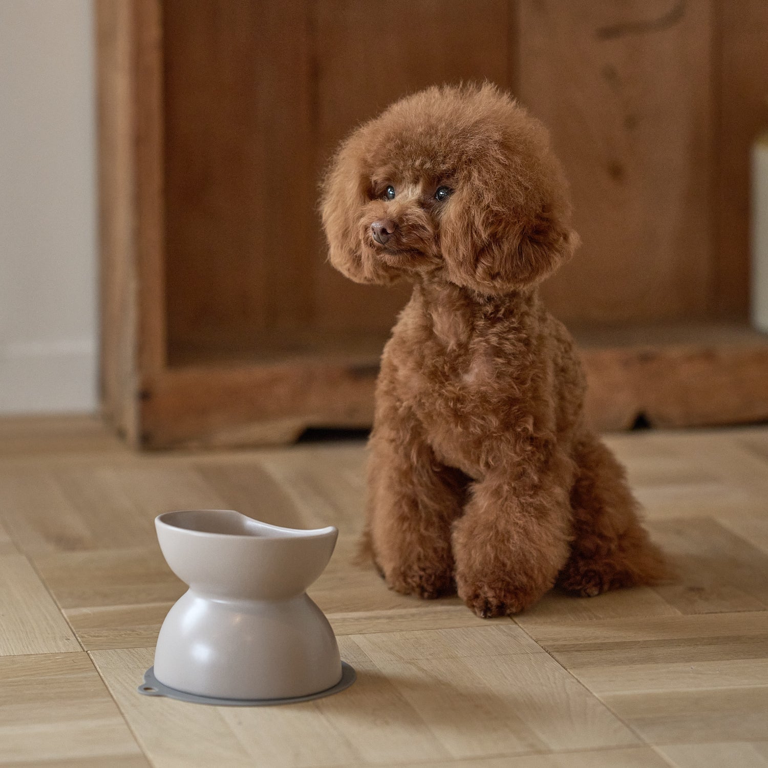 Zoom