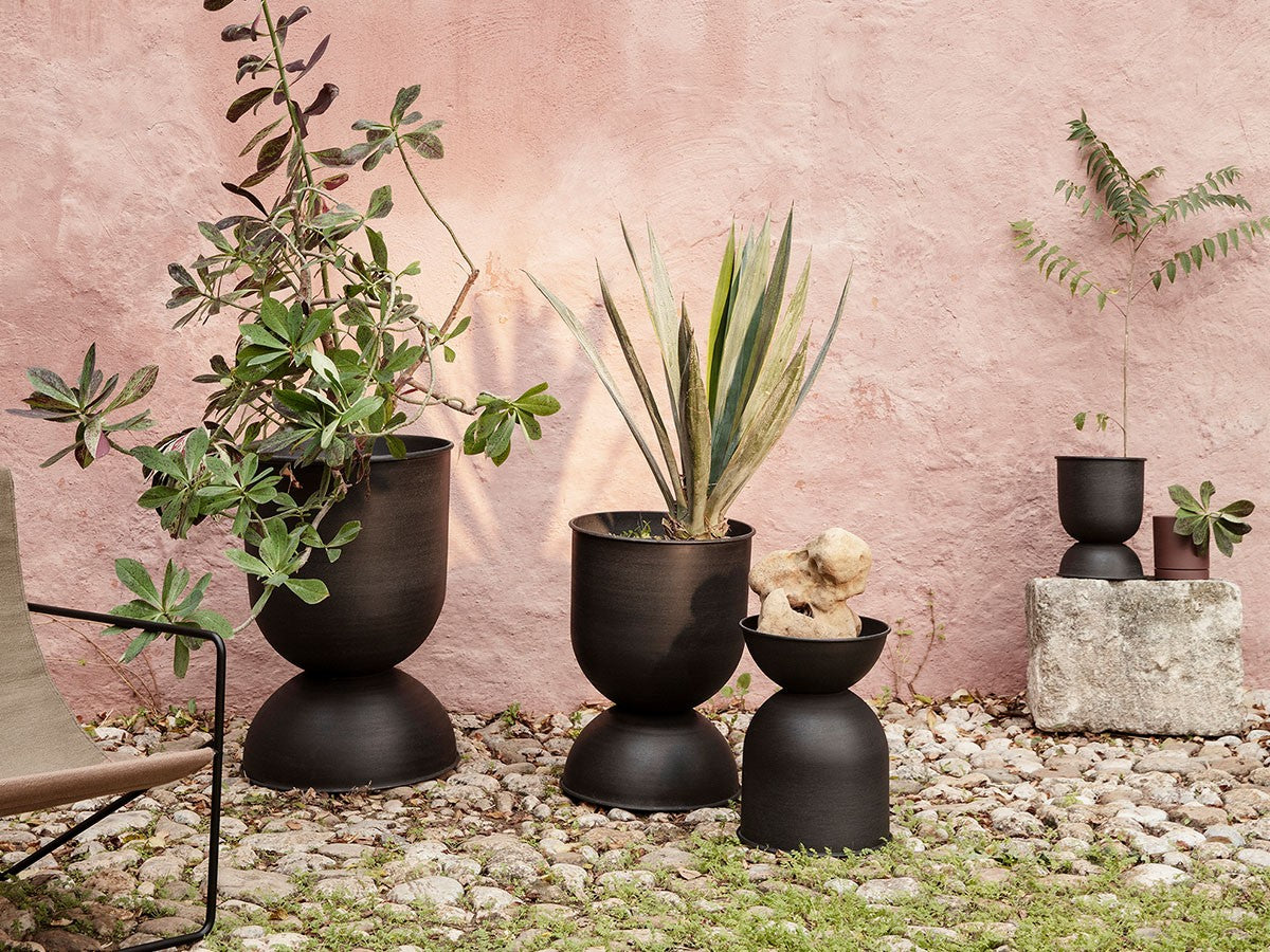 Zoom