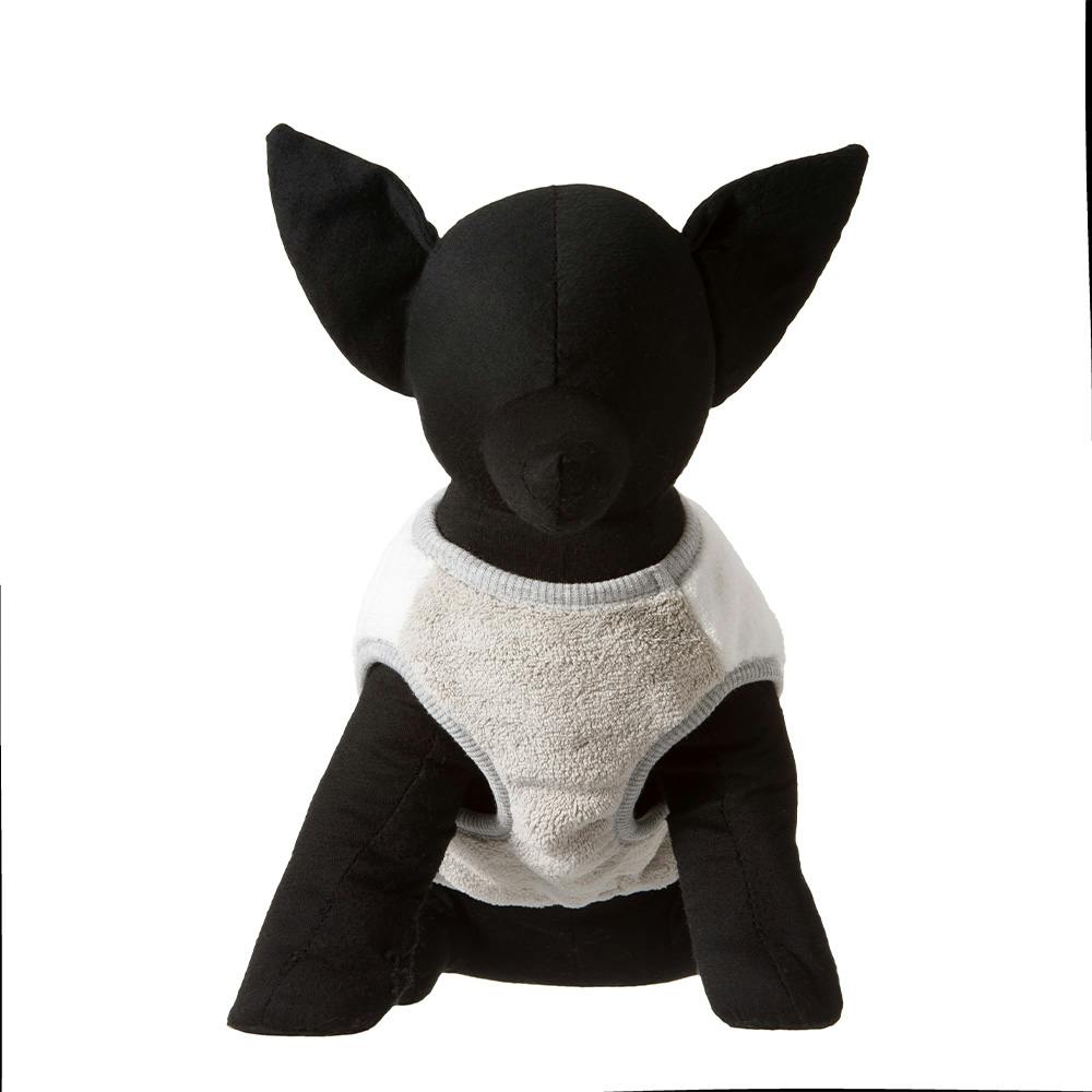 Zoom