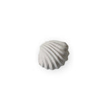 Sculpture The Clam Shell Limestone