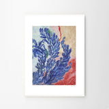 Sofie Rebecca Iversen Quiet Bloom A4